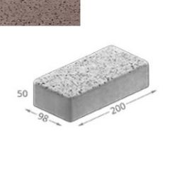 Брусчатка бетонная двухслойная 50х98х200 1-A-2010-316 Forester
