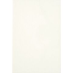 Строительная керамическая плитка Белая Люкс глянцевая 250х500 ВКЗ