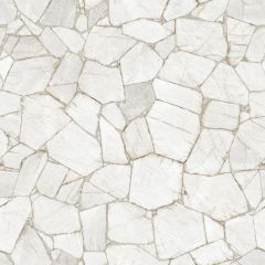Керамогранит Sahara (Сахара) GFU04SHR07R 600х600 серый матовый Alma Ceramica