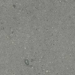Керамогранит Аркаим (Arkaim) G213MR 600х600 матовый серый "Гранитея"
