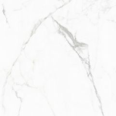 Керамогранит Elegant Statuario GT60604803PR 600х600 белый полированный Global Tile