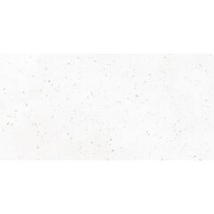 Керамогранит Гранелла (Granella) G-40/MR 600х1200 матовый белый Grasaro