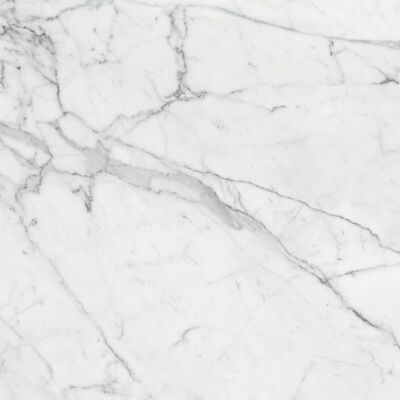 Керамогранит Марбл Тренд Каррара (Marble Trend Carrara) K-1000/LR 600х600 белый лаппатированный Kerranova