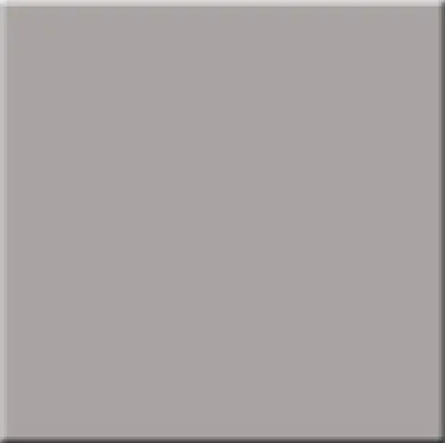 Керамогранит моноколор Rainbow RW 03 Brown Grey 300х300